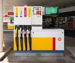 Shell Bild 2