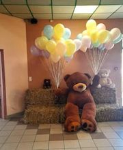 David Ballon Evolution image 1