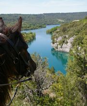 les Chevaux du Verdon image 2
