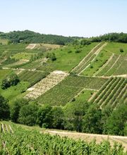 Bigot Hélène image 1