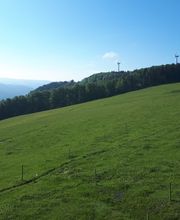 Ferienparadies Althäuslehof Bild 15