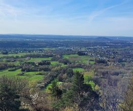 FriedWald Litermont Bild 1