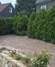 Mein Wunschgarten GmbH Bild 4