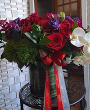 JB orchids imagen 10