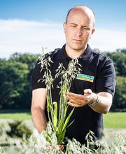 ZG Raiffeisen Getreidesilo Bild 2