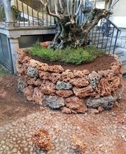 TICINO SPECIAL GARDEN SAGL Bild 5