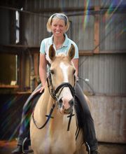 Osteopathie für Pferd und Hund Andrea Albrecht Bild 1