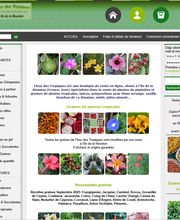 Fleur des Tropiques image 12