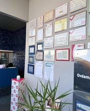 Gallery Cliente