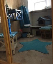 Village Canin le Grand l'Ilot image 12