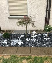 Berisha Gartenbau & Hauswartung GmbH Bild 11