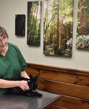 My Pet's Vet image 4