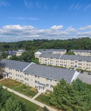 Cedar Tree Apartments image 11