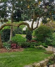 Cosme Cédric image 6