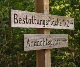 Beschilderungen entlang der Waldwege helfen bei der Orientierung im FriedWald Schönebeck.