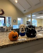 Pinetree Animal Hospital image 14