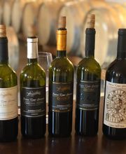 vinoteca bar-olo Bild 4