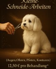 Screenshot 2025-10-23 172519.png