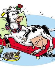 Lely Center Robotique Elevage SARL image 3