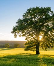 Geschichtsagentur Bern Bild 4