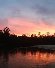 Blackwater Joe's: Canoes Cabins Camping image 10