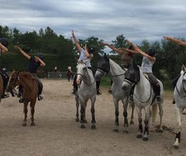 Arradon Equitation image 4