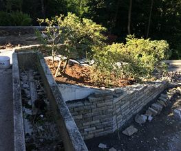 Stern Gartenbau AG Bild 3