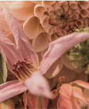 DOFLORES Annette Reich Bild 2