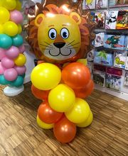 Phoenixballons Kleinmachnow Bild 5