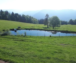 Ferienparadies Althäuslehof Bild 14