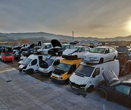 20188009-1-azT2ow1Yd11690867660718.jpeg