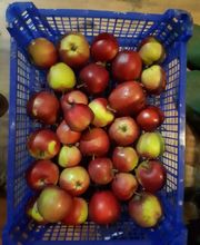 La Ferme du Morillon LFDM image 6