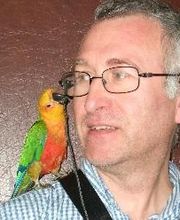 Pascal Gonin image 2