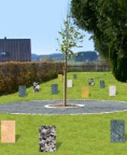 Linhardt Andreas Bild 1