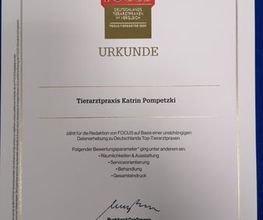 Tierarztpraxis Katrin Pompetzki Bild 3
