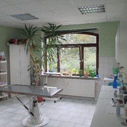 Tierarztpraxis Katrin Pompetzki