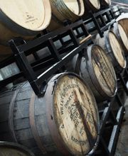 Catalyst Crafted Ales image 16