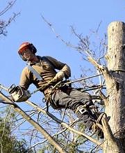 Allais et Fils image 17