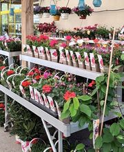 GAMM VERT VILLAGE image 2