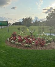 Léman espaces verts Sàrl Bild 6