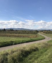 Kokon Immobilier image 15