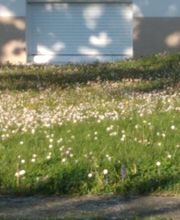 Bossut Multi-Services image 14