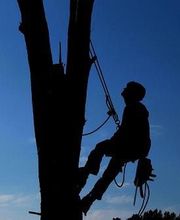 Laurent Bons image 3