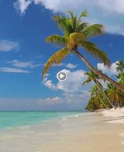 FIRST REISEBÜRO am Opernhaus Magdeburg Bild 5