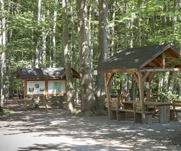 FriedWald Planitzwald Bild 6