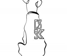 CS - K9 Hundezentrum Bild 1