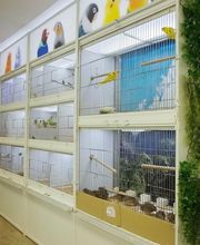 Animal City image 16