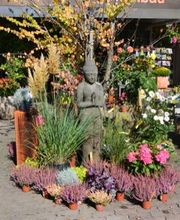 Strickler Blumen & Gärten AG Bild 8