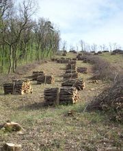 SBC Chauvet image 10