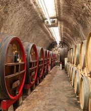 Caves Jamet SARL image 1